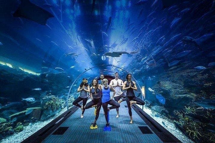 Inside Dubai Aquarium & Underwater Zoo: Tunnel Walks, Penguin Cove & Glass-Bottom Boat photo 1