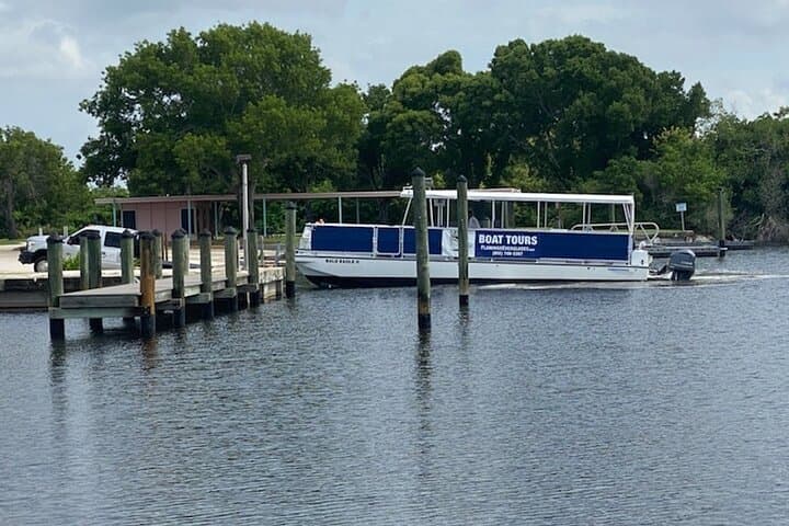 Flamingo Backcountry Boat Tour: Buttonwood Canal to Whitewater Bay photo 2