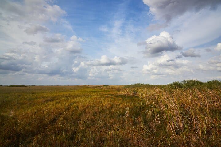 Flamingo Backcountry Boat Tour: Buttonwood Canal to Whitewater Bay photo 3