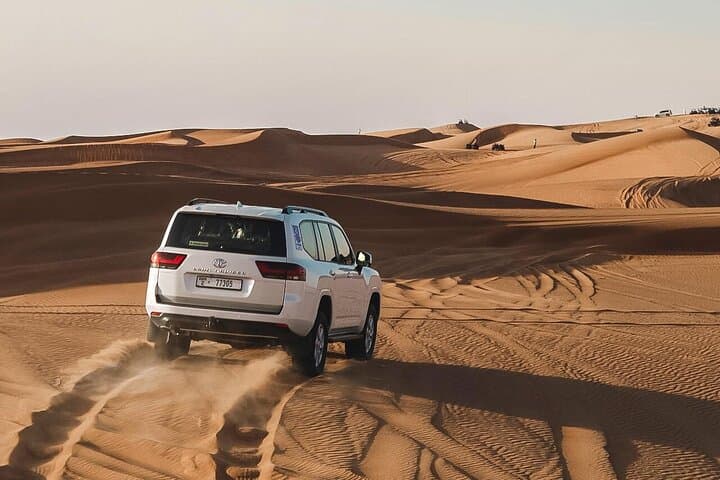 Dubai Desert Safari: 4x4 Dune Bashing, Camel Ride & Sandboarding Experience