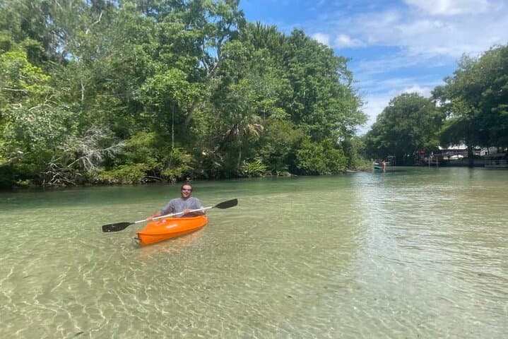 Weeki Wachee Kayaking Guide: Clear Springs, Wildlife & Practical Tips