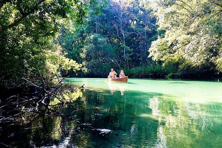 Weeki Wachee Kayaking Guide: Clear Springs, Wildlife & Practical Tips photo 2