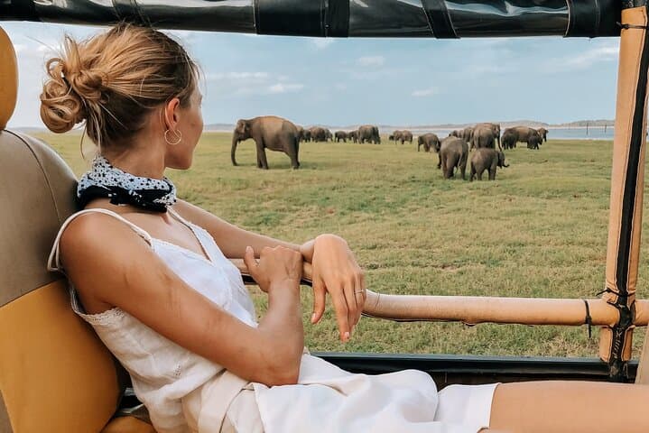 Kandy to Anuradhapura Shuttle and Safari Drive — Minneriya Elephant Safari from Kandy photo 3