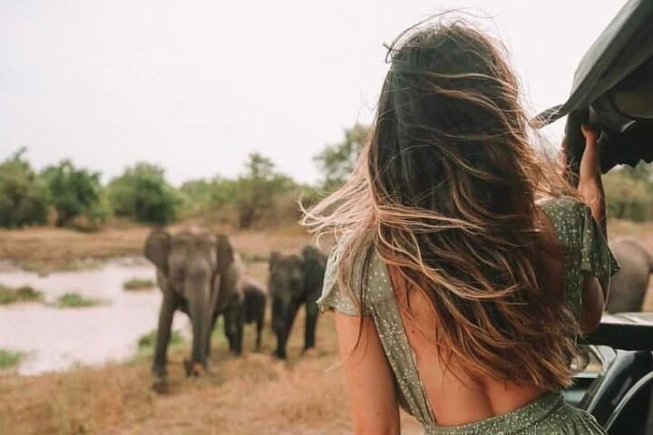 Kandy to Anuradhapura Shuttle and Safari Drive — Minneriya Elephant Safari from Kandy