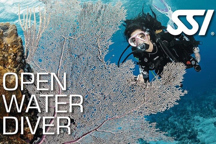 Learn to Dive in Koh Samui: 3-Day Open Water Course with Pool Training