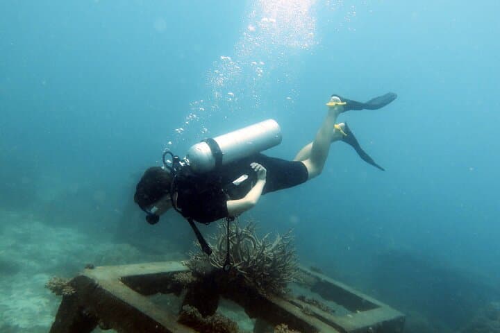 Advanced Open Water Course Thailand: 2-Day Guided Diving in Koh Samui photo 4