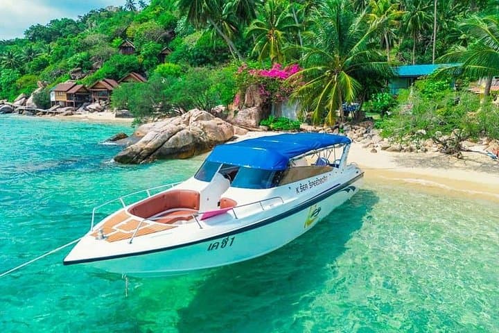 Private Speedboat Tour to Koh Tan, Koh Rap & Pig Island from Koh Samui photo 4