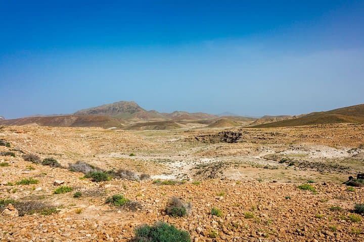 Boa Vista 4x4 Shipwreck Tour: Cabo Santa Maria, Local Lunch & Biodiversity Centre photo 4