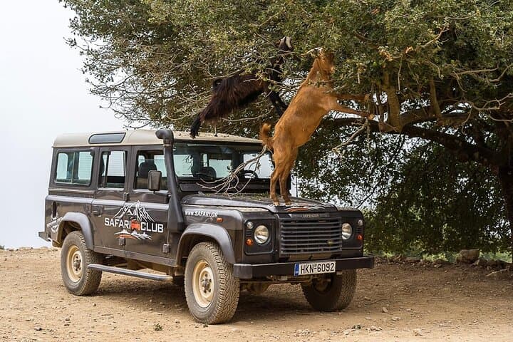 Mountains of Crete 4x4 Off-Road Tour with Taverna Lunch photo 6