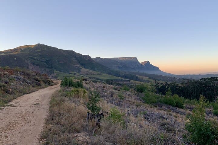 Tokai MTB Trail Ride: 3-Hour Private Guided Mountain Biking in Cape Town photo 3