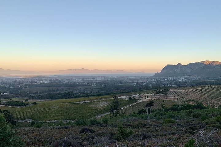 Tokai MTB Trail Ride: 3-Hour Private Guided Mountain Biking in Cape Town photo 4
