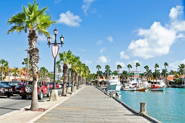 Private Oranjestad Shore Tour: Full-Day Cruise Excursion in Aruba photo 5