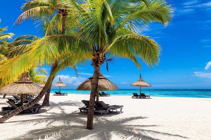 Private Full-Day Shore Tour from Cap Cana Port to Punta Cana Beaches photo 1