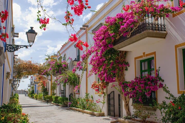 Explore Las Palmas: Private Full-Day Shore Tour from Gran Canaria Port photo 5