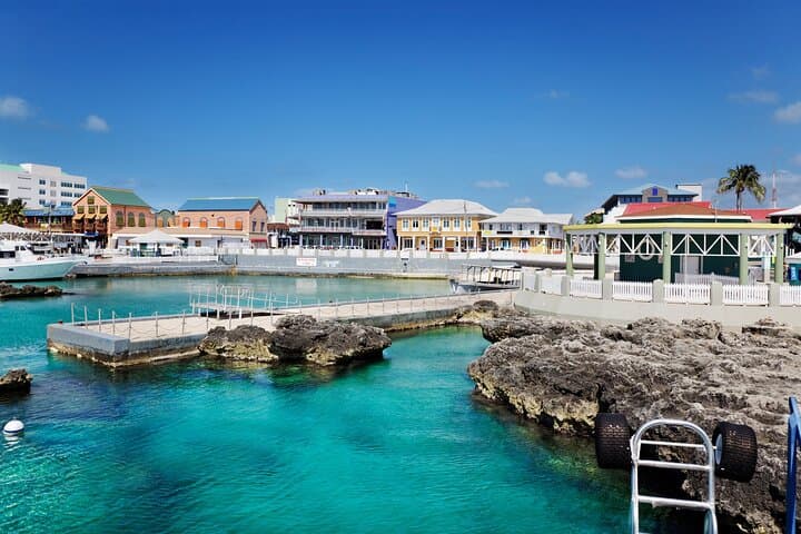 Full-Day Private Shore Tour in George Town, Grand Cayman — From the Port photo 1