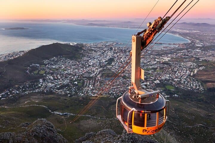Kirstenbosch and Table Mountain: Cape Town Botanical Garden & Cable Car Tour photo 6