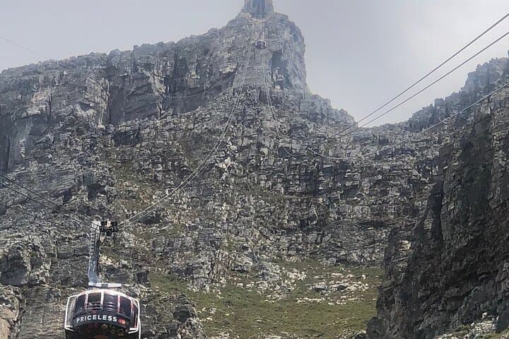 Table Mountain, Boulders Beach & Cape Point: Small-Group Day Tour from Cape Town