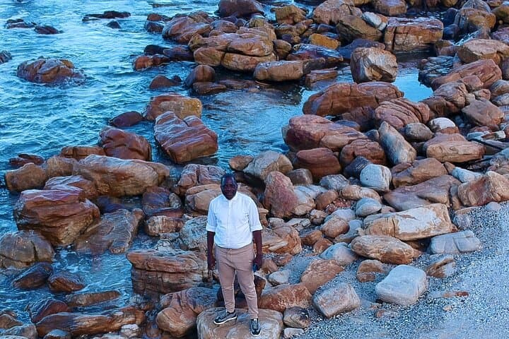 Table Mountain, Boulders Beach & Cape Point: Small-Group Day Tour from Cape Town photo 6