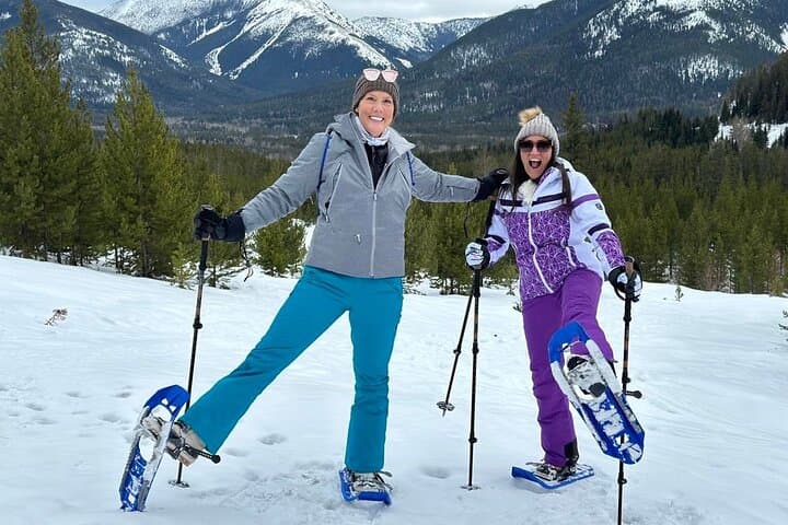 Explore Glacier National Park: Driving and Snowshoe Combo Tour Experience photo 2