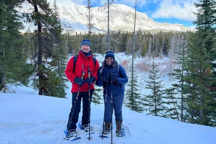 Explore Glacier National Park: Driving and Snowshoe Combo Tour Experience