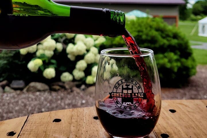 Conesus Lake Wine, Chocolate & Cheese Tasting: 45-Minute Lakefront Flight