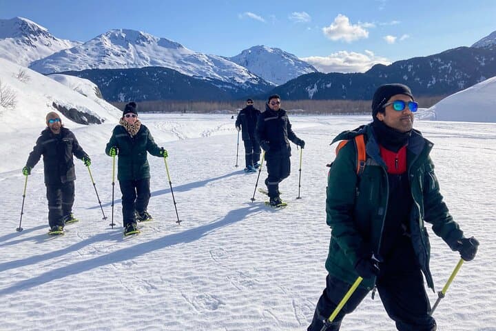 Snowmobile and Snowshoe Dual Adventure to Exit Glacier in Kenai Fjords National Park photo 4
