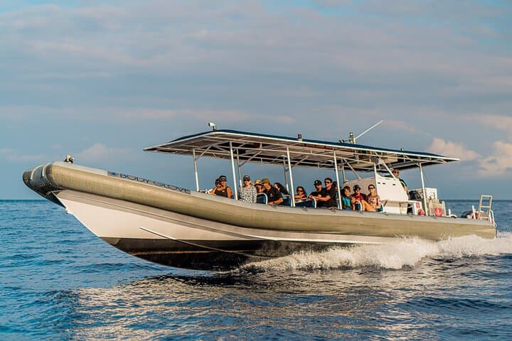 Kona Whale Watch: 2.5-Hour Super-Raft Humpback Cruise photo 2