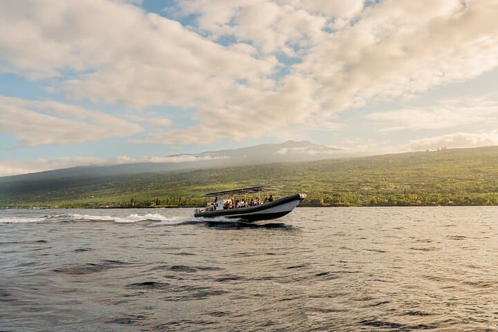 Kona Whale Watch: 2.5-Hour Super-Raft Humpback Cruise photo 3