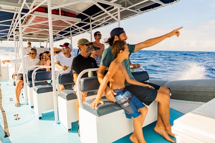 Kona Whale Watch: 2.5-Hour Super-Raft Humpback Cruise photo 4