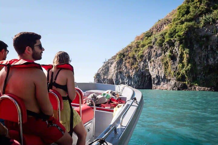 Funchal Speedboat Tour: Dolphin & Whale Watching with Mid-Trip Swim