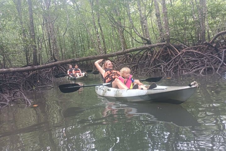 Kilim Mangrove Kayaking: Half-Day Paddle Through Langkawi's Karst Forest