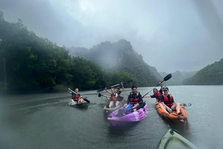 Kilim Mangrove Kayaking: Half-Day Paddle Through Langkawi's Karst Forest photo 5