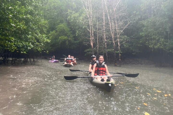 Kilim Mangrove Kayaking: Half-Day Paddle Through Langkawi's Karst Forest photo 6