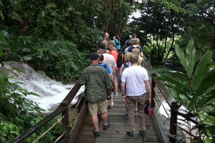 Half-Day Konoko Gardens & Blue Hole Secret Falls Tour in Ocho Rios photo 5