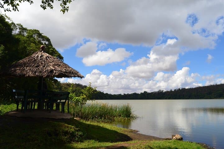 Lake Duluti Canoe & Forest Walk — Arusha Day Adventure photo 2