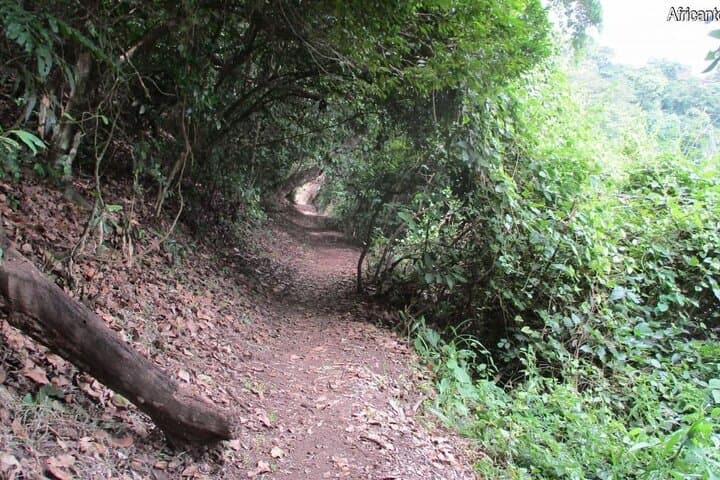 Lake Duluti Canoe & Forest Walk — Arusha Day Adventure photo 3