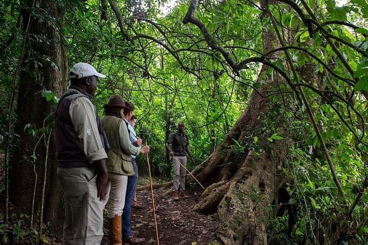 Lake Duluti Canoe & Forest Walk — Arusha Day Adventure photo 4