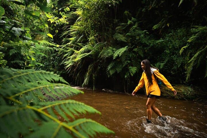 Hiking Napuru Waterfall near Mount Meru — Arusha's Refreshing Cascade photo 4