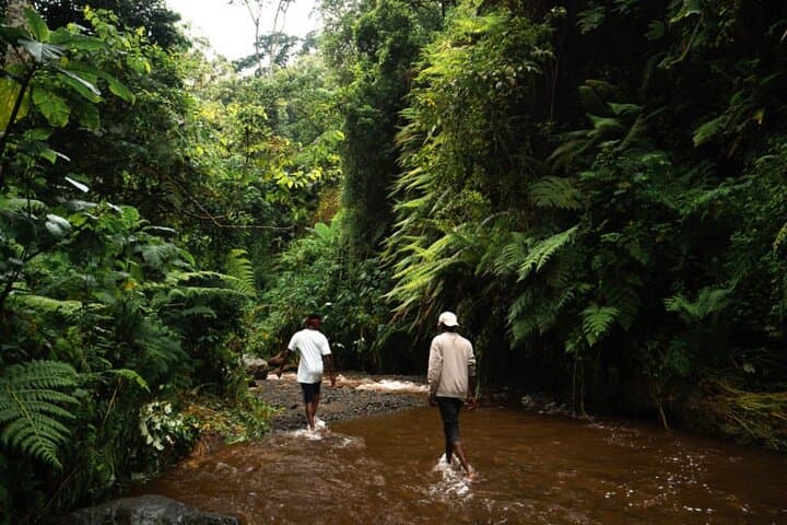 Hiking Napuru Waterfall near Mount Meru — Arusha's Refreshing Cascade photo 5