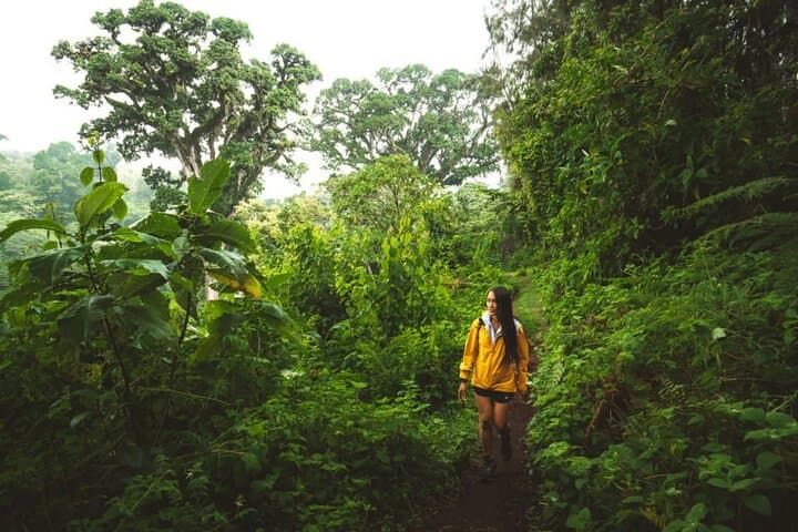 Hiking Napuru Waterfall near Mount Meru — Arusha's Refreshing Cascade photo 6