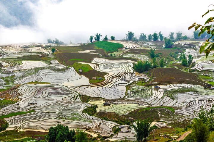 4-Day Private Sapa to Y Ty Trek and Homestay Adventure photo 4