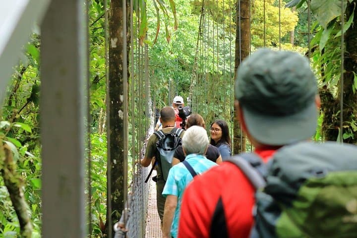 Full-Day Arenal Volcano Hike: La Fortuna Waterfall, Hanging Bridges & Volcano Views photo 2
