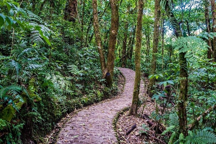 Full-Day Arenal Volcano Hike: La Fortuna Waterfall, Hanging Bridges & Volcano Views photo 3