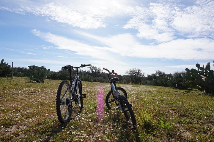 Cork and Prickly Pear Tour: Private Pepe Aromas Walk & Bike in Alentejo