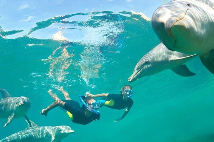 Private Red Sea Snorkeling Trip from Hurghada with Lunch & Hotel Pickup