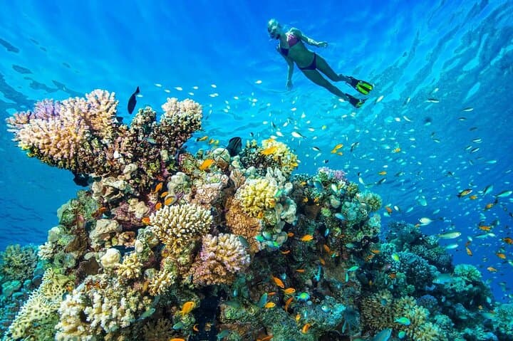 Private Snorkeling & Island Hopping Day Trip from Hurghada photo 4