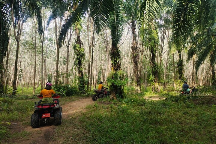 Ao Thalane Kayak and ATV Adventure — Krabi Mangroves & Limestone Cliffs photo 4