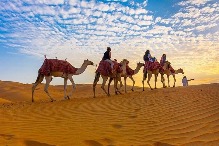 Dubai Half-Day City Tour and Desert Safari with BBQ Dinner photo 3