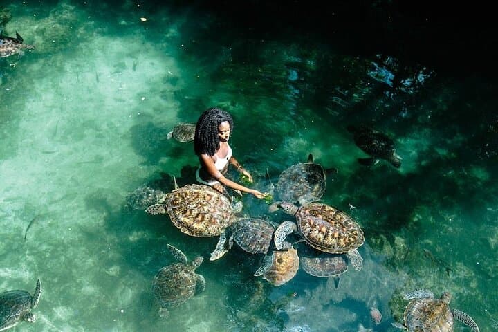 Full-Day Private Hidden Beach Escape: Mnemba, Nungwi & Kendwa photo 3