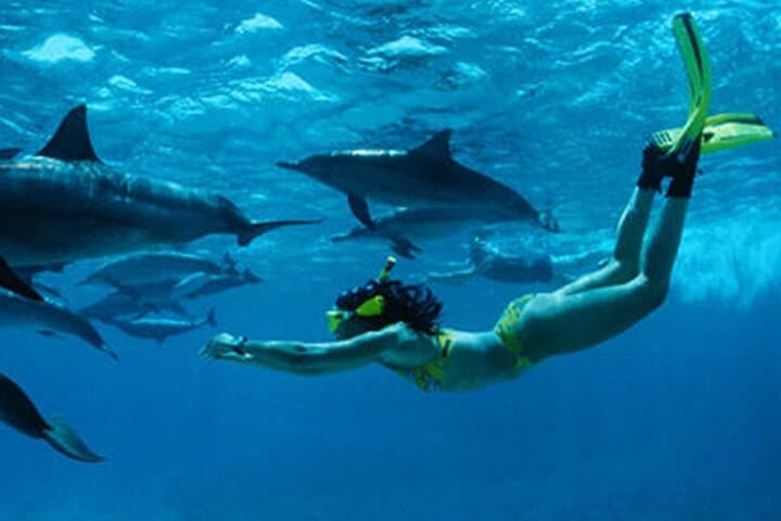 Full-Day Private Hidden Beach Escape: Mnemba, Nungwi & Kendwa photo 5